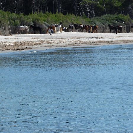 Affittacamere A Due Passi Dal Mare Marina di Cecina Εξωτερικό φωτογραφία
