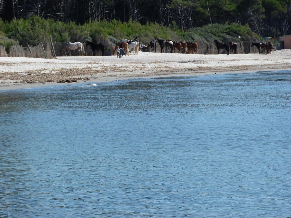 Affittacamere A Due Passi Dal Mare Marina di Cecina Εξωτερικό φωτογραφία